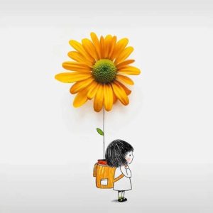 在找一个新的wordpress主题